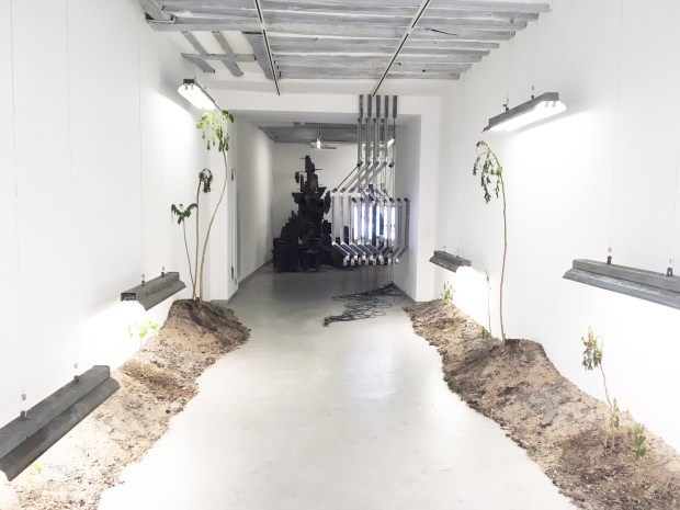 vue-d'exposition-galerie-bertrand-grimont